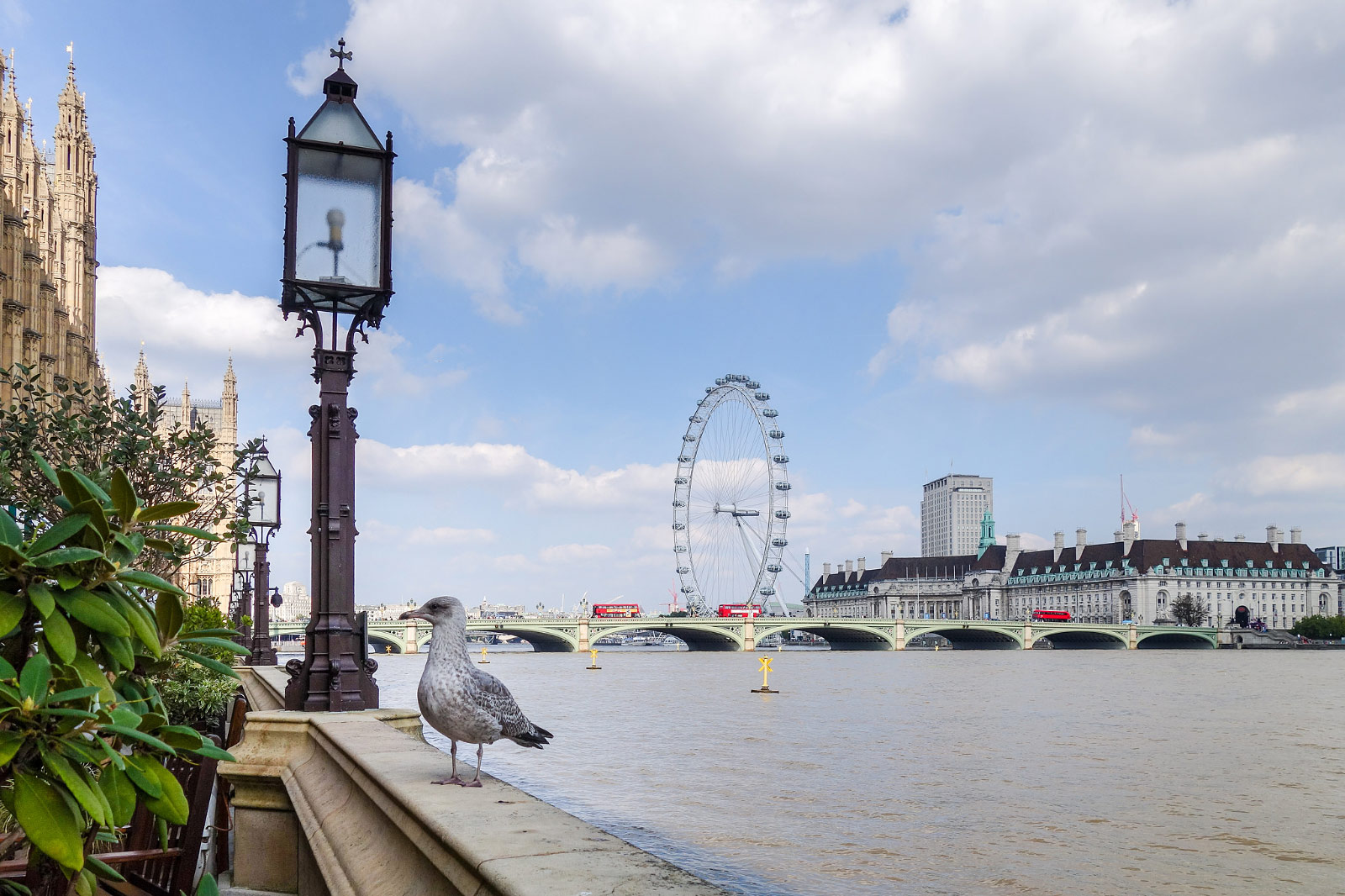 London